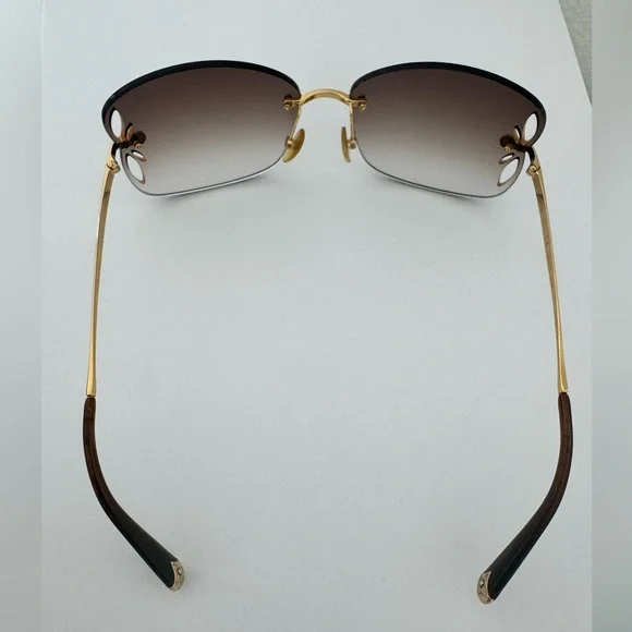 Louis Vuitton Sexy Sunglasses - Picture 10 of 15